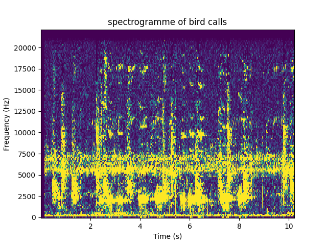 _images/birdcall_spectrogramm.png